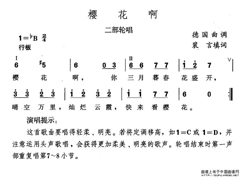 樱花啊