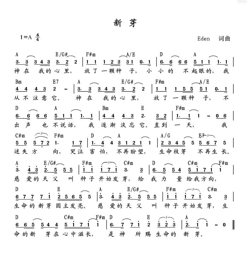 新芽