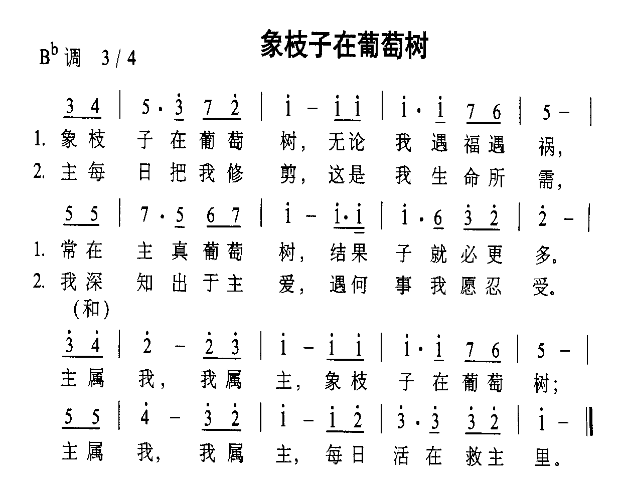 象枝子在葡萄树