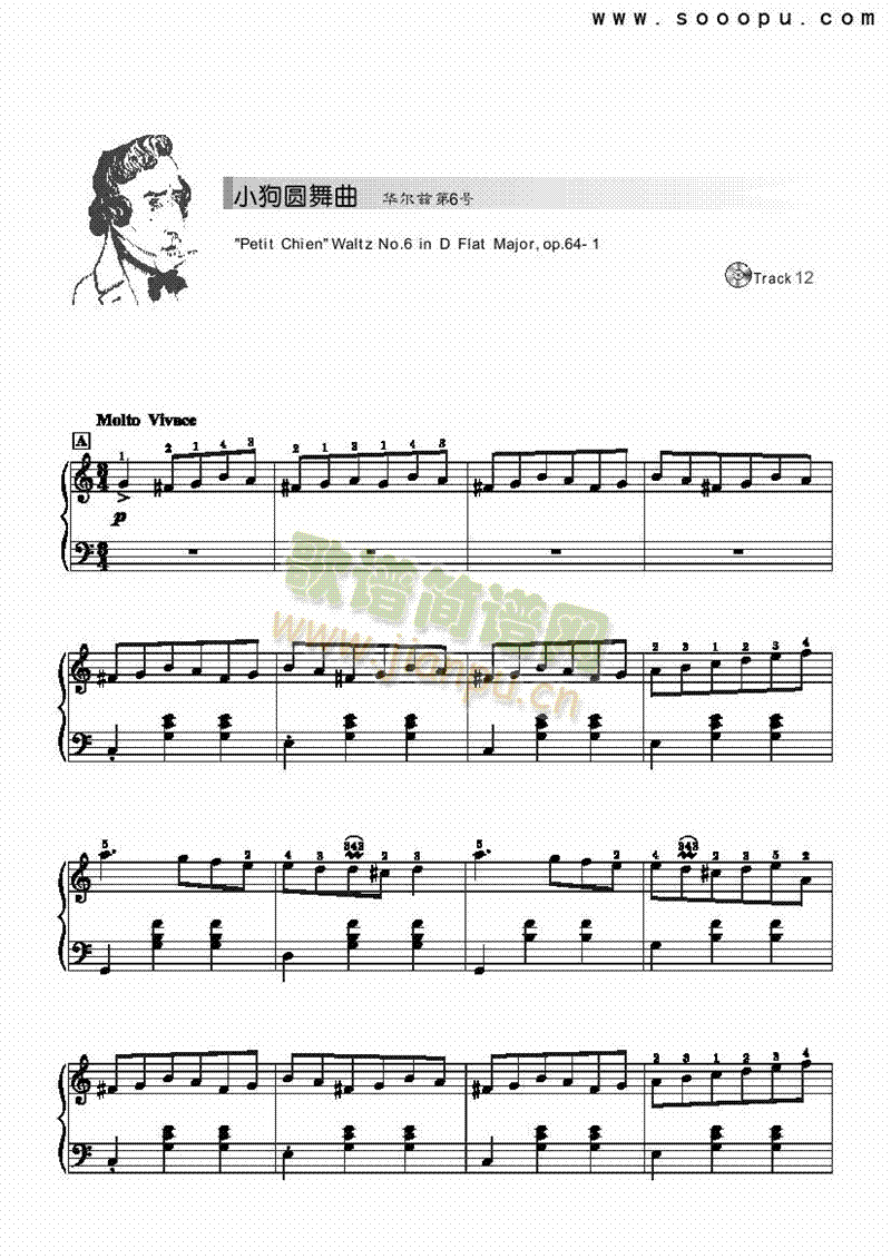 小狗圆舞曲-简易版 