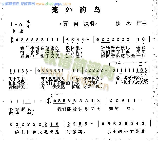 笼外的鸟