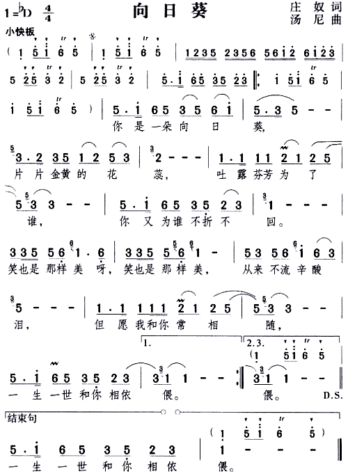 向日葵