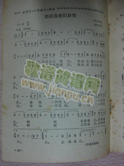 她就在我们身旁（电影小巷幽兰插曲）