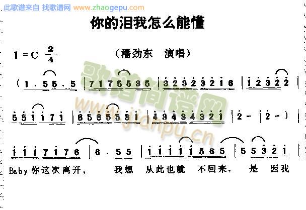 你的泪我怎么能懂