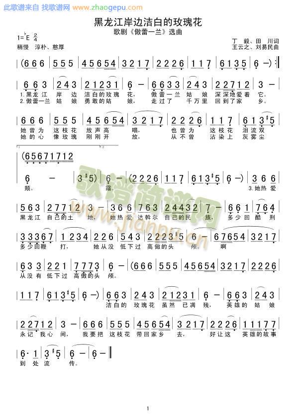 黑龙江岸边洁白的玫瑰花.
