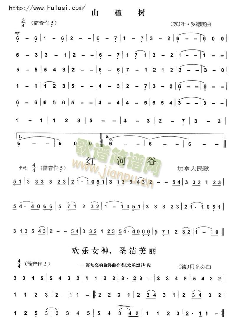 山楂树,红河谷,欢乐颂