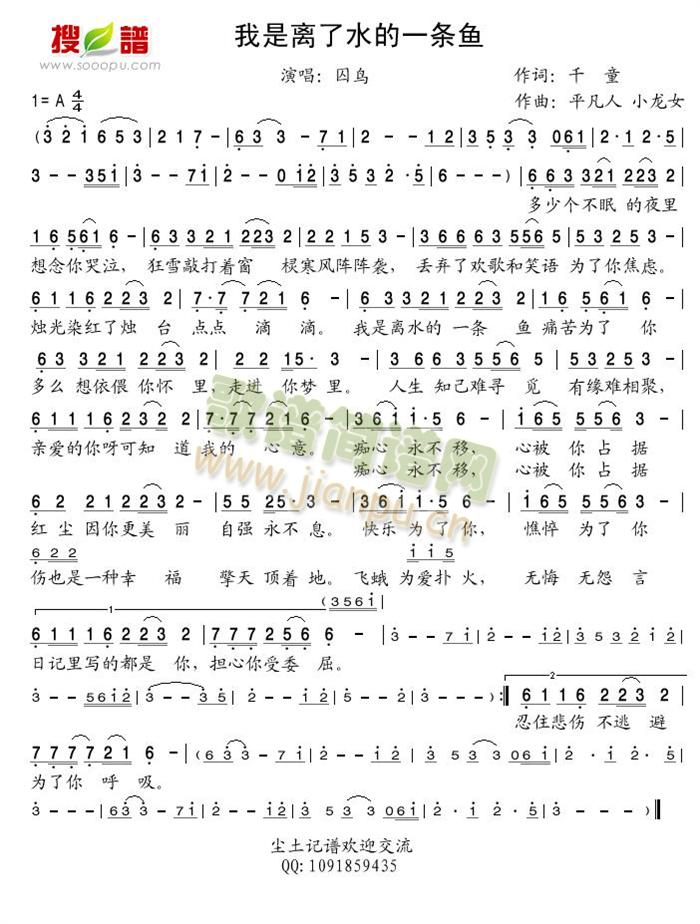 我是离了水的一条鱼