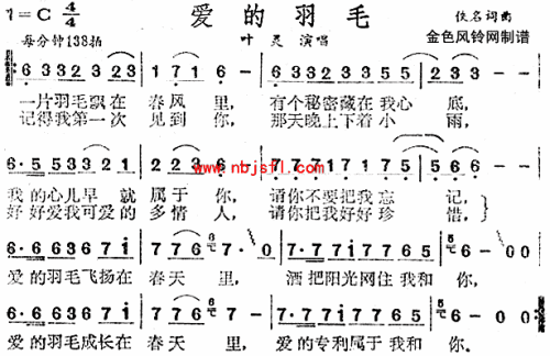 爱的羽毛
