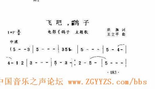 飞吧,鸽子