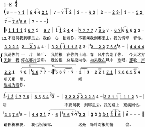 绿叶对根的情意
