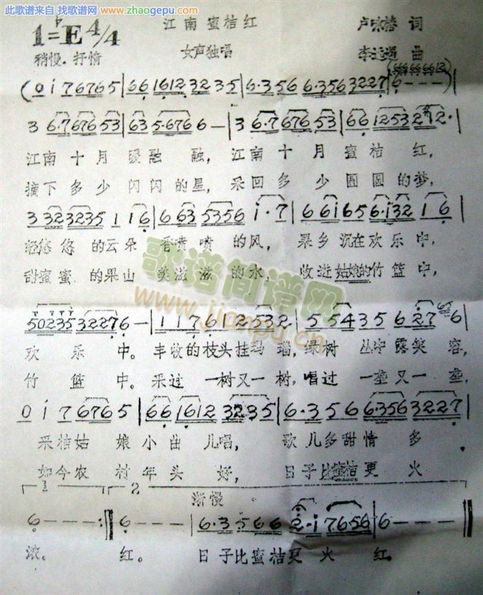 江南蜜桔红