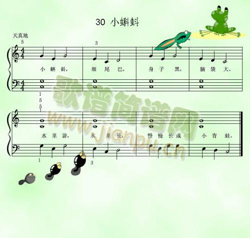 小蝌蚪.