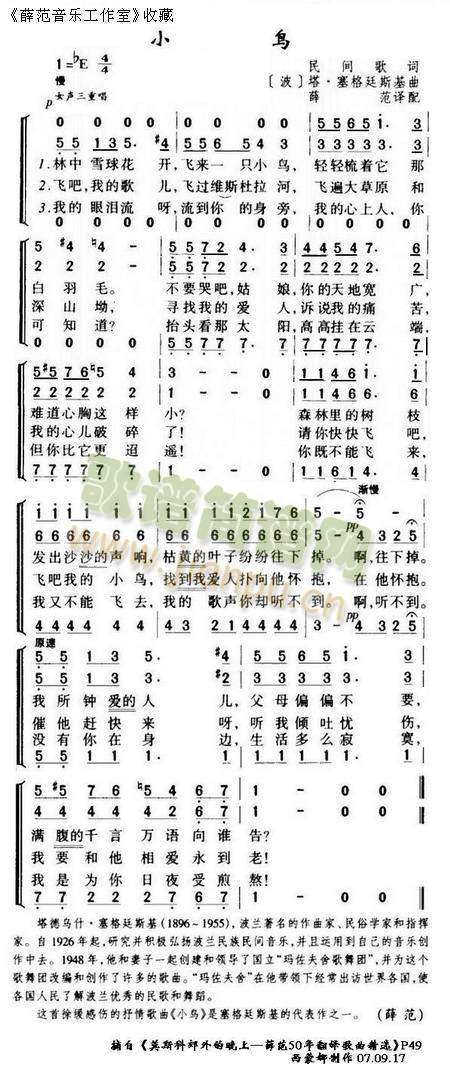 小    鸟