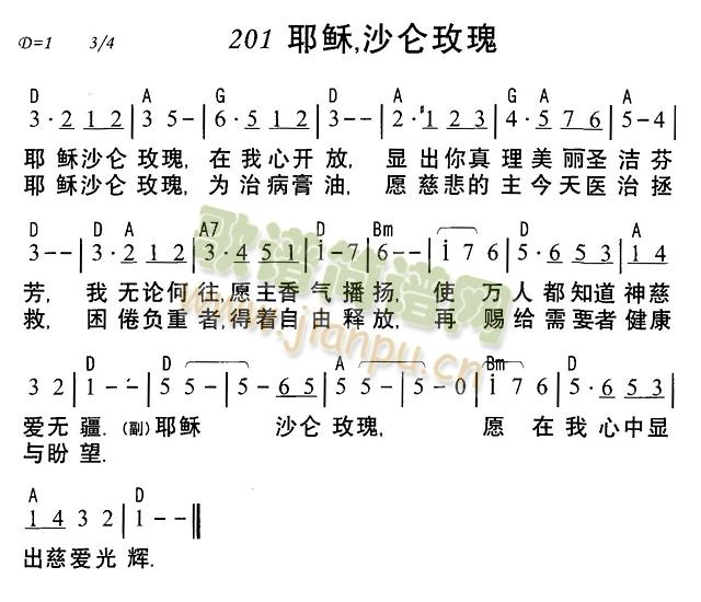 耶稣沙仑玫瑰