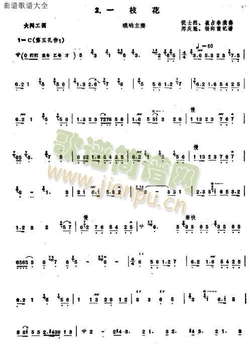 秦皇岛一枝花