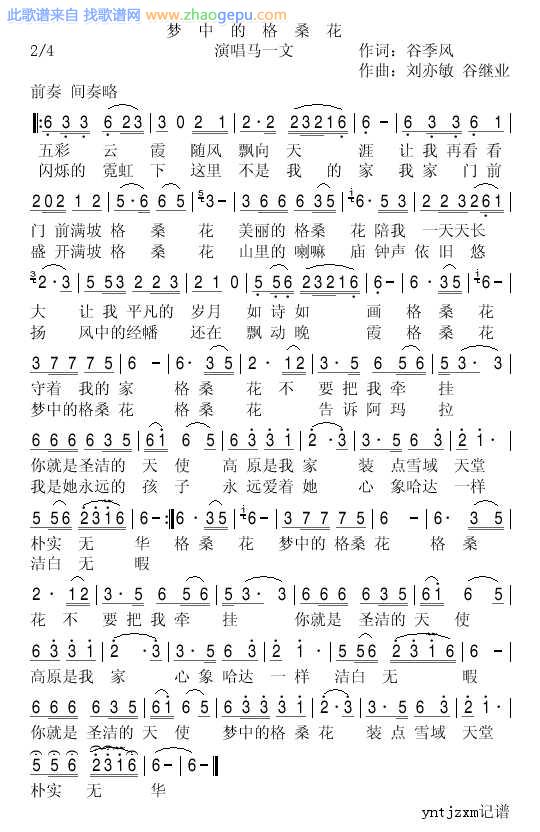 梦中的格桑花
