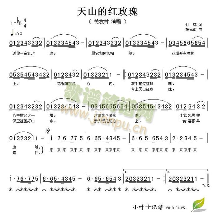 天山的红玫瑰