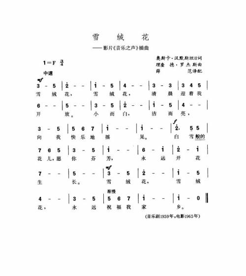 雪绒花