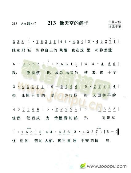像天空的鸽子