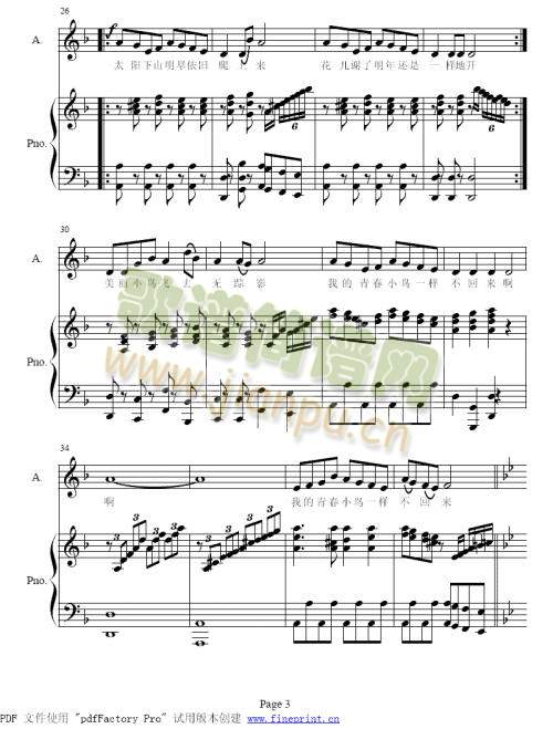 青春舞曲(女低A)