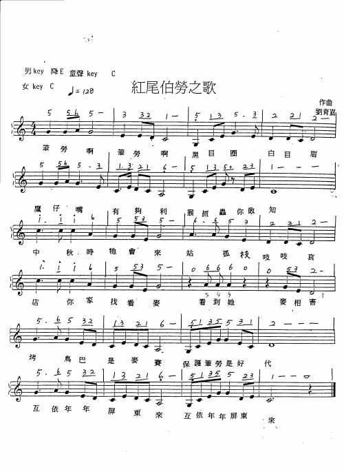 红尾伯劳之歌