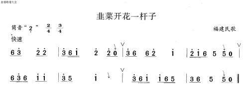 韭菜开花一竿子