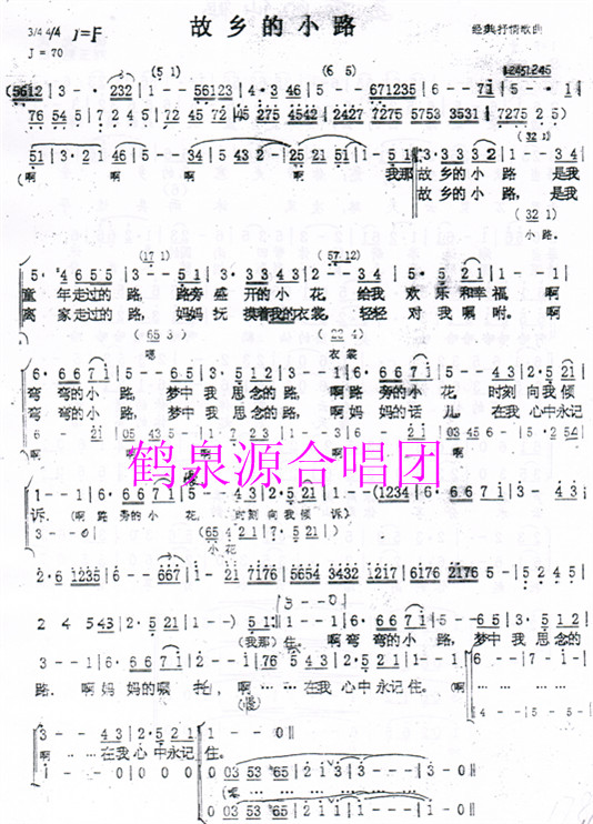 故乡的小路