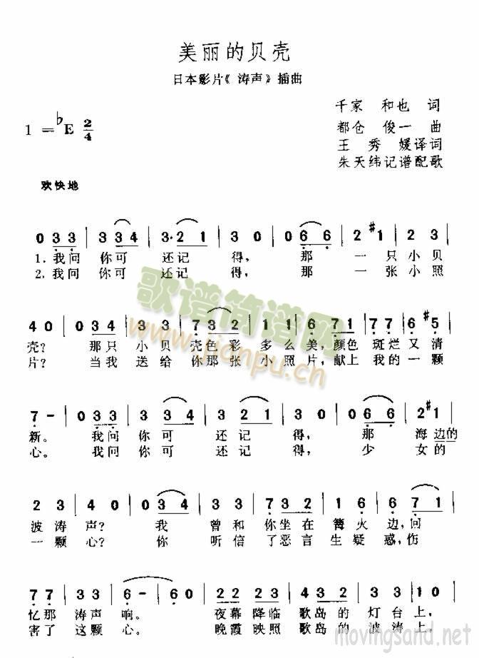 美丽的贝壳