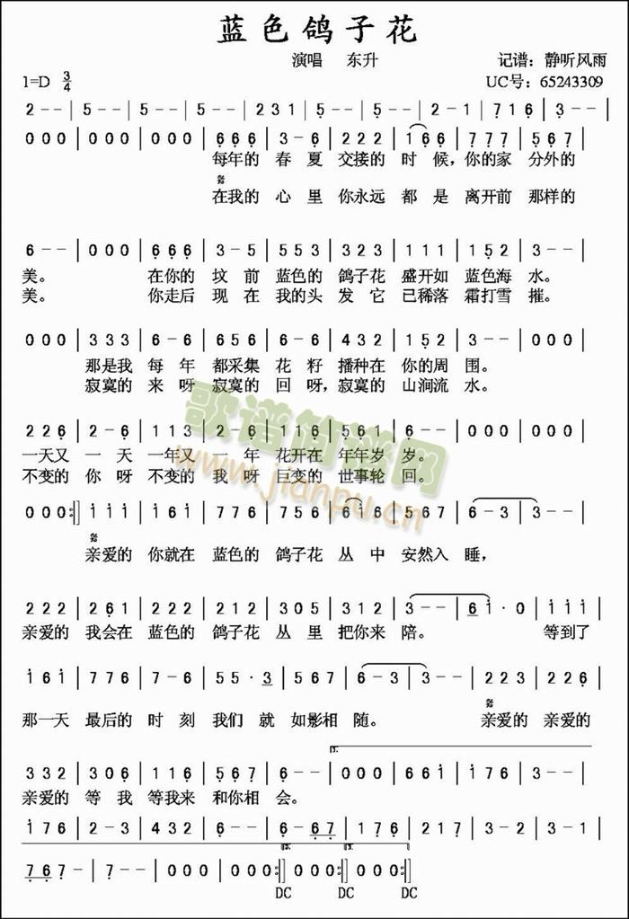 蓝色鸽子花