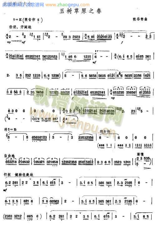 玉树草原之春