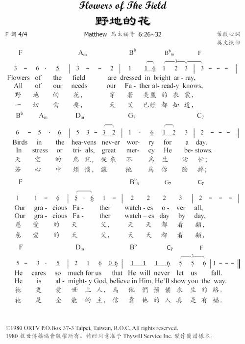 野地的花----可听