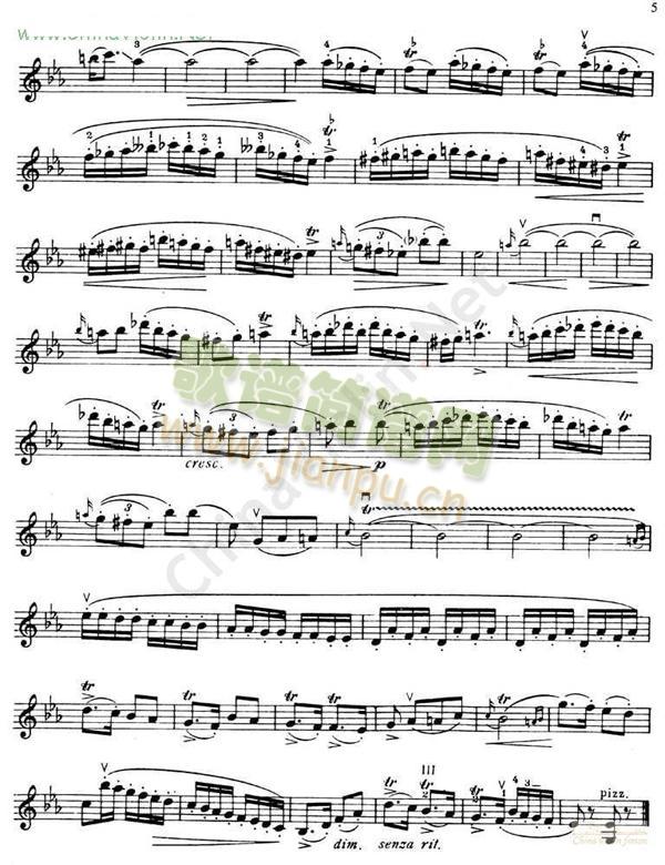 海菲茨-DINICUHora Staccato