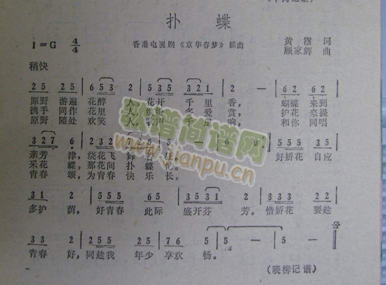 扑蝶