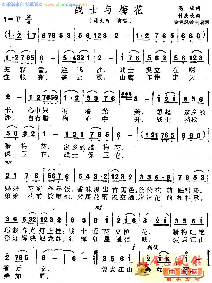 战士与梅花