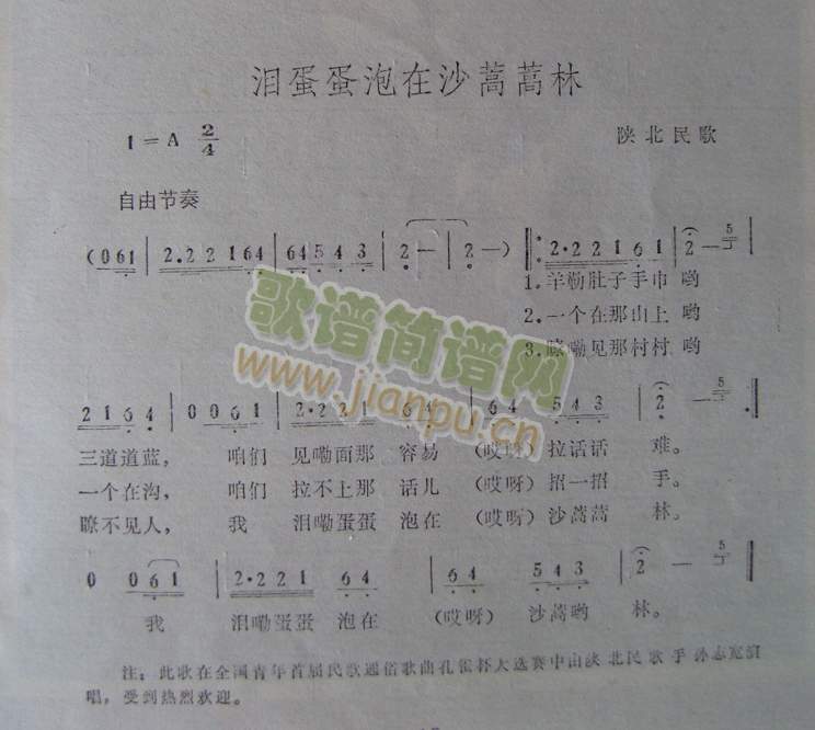 泪蛋蛋泡在沙蒿蒿林（陕北民歌）