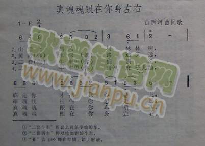 真魂魂跟在你身左右（山西河曲民歌）