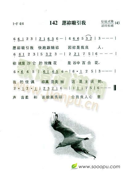 愿你吸引我