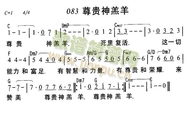 尊贵神羔羊