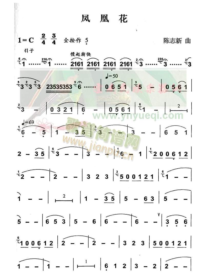 凤凰花