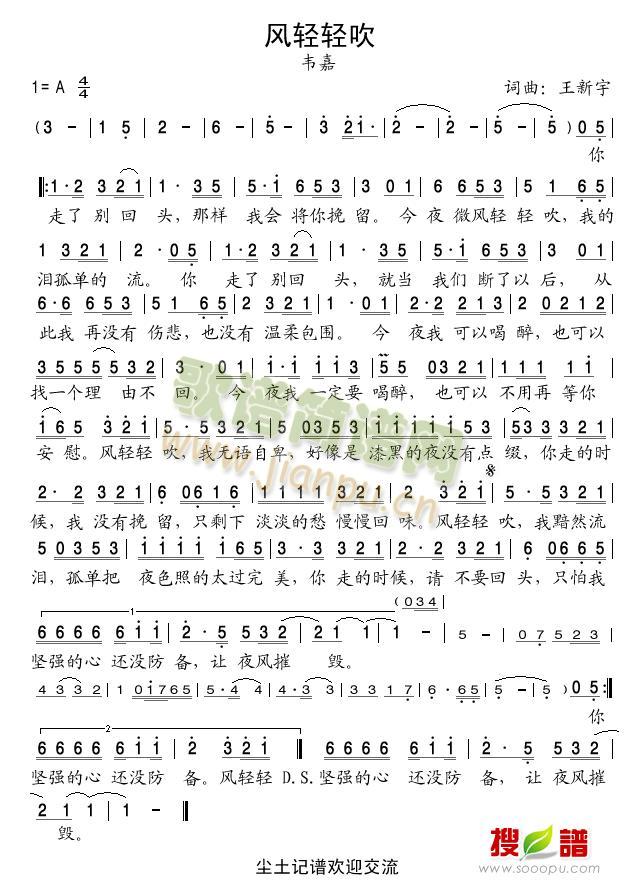 风轻轻吹