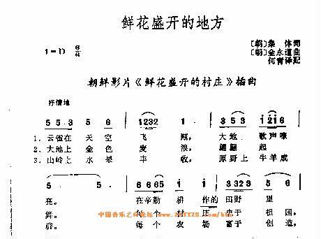 鲜花盛开的地方
