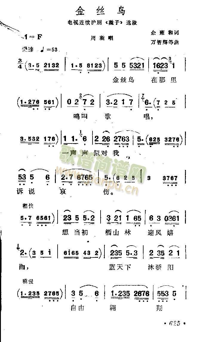 金丝鸟