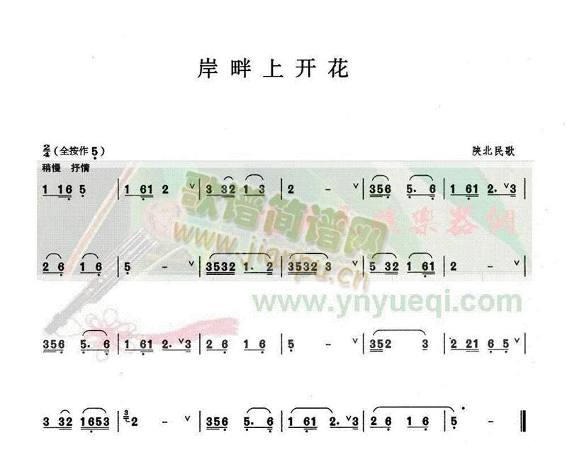 岸畔上开花