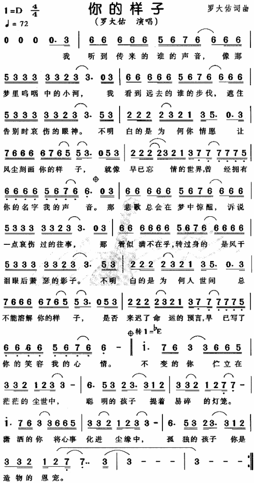你的样子