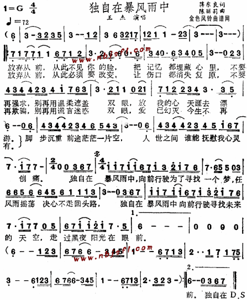 独自在暴风雨中