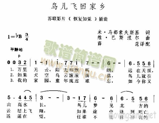 鸟儿飞回家乡