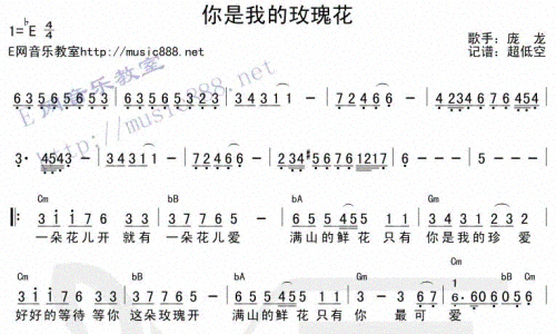 你是我的玫瑰花