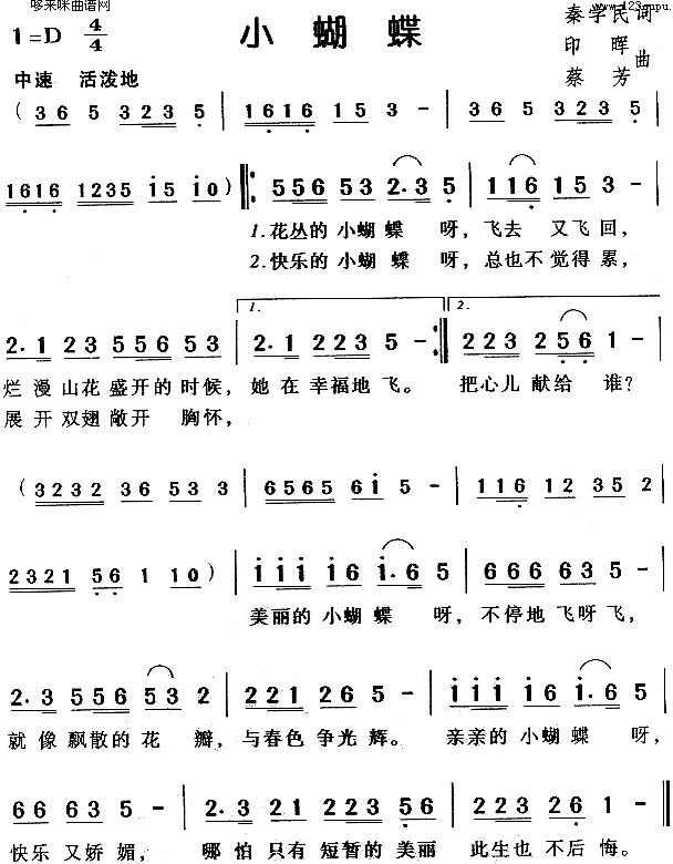 小蝴蝶