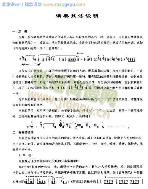 演奏执法说明
