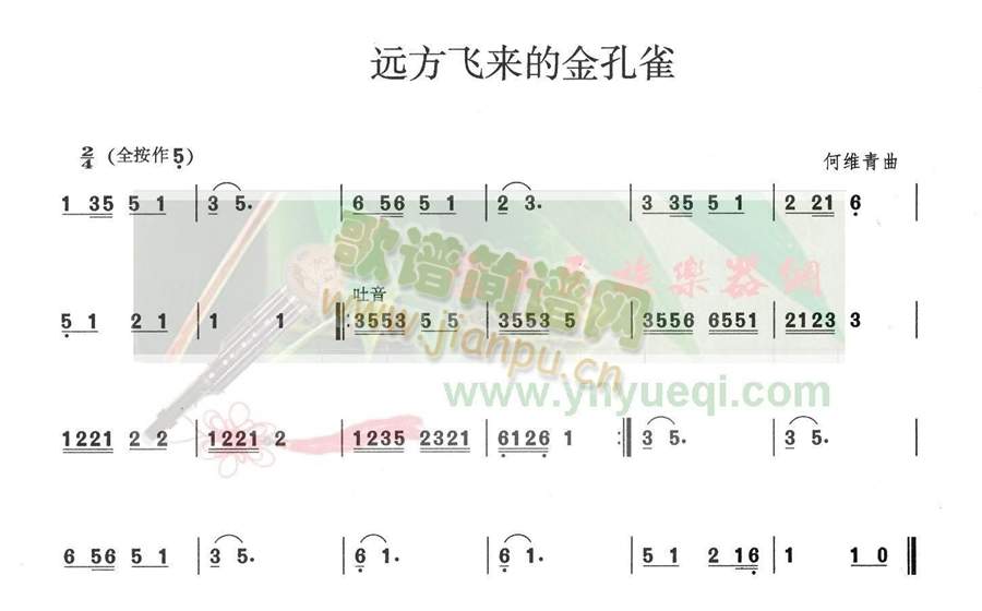 远方飞来的金孔雀